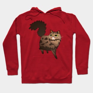 Fluffy Brown Tabby Cat Hoodie